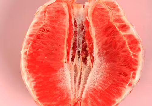 infertility expert Jalandhar