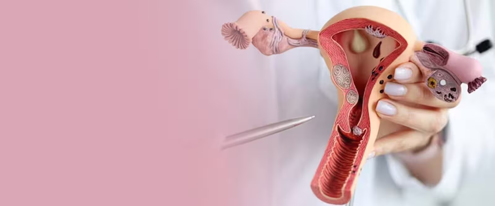 doctor deepali luthra